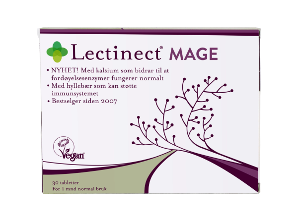 Lectinect Mage